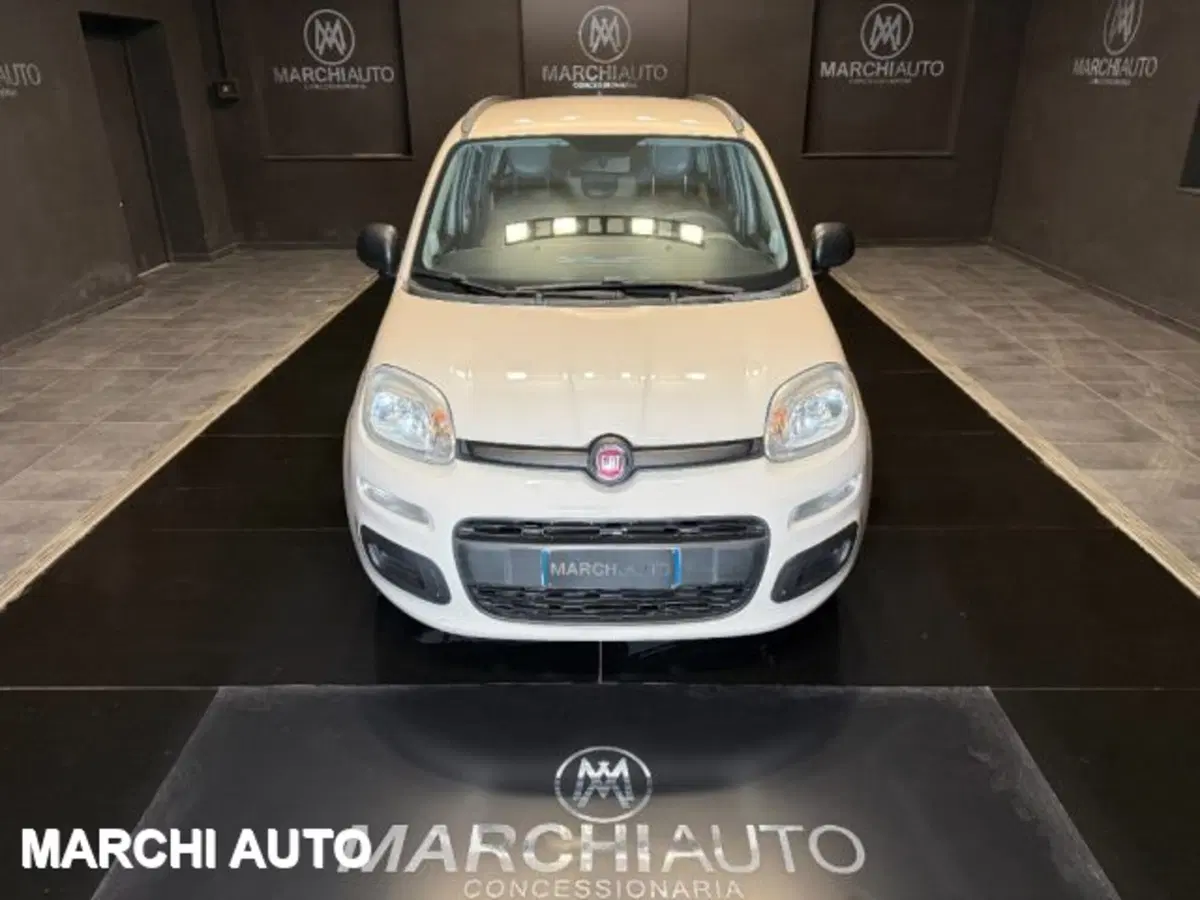 Fiat Panda usata a Perugia (2)