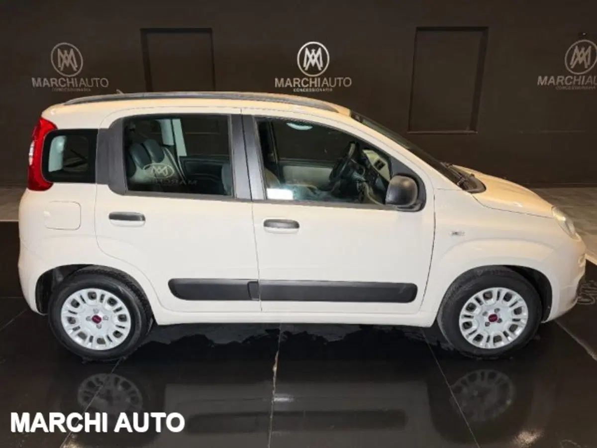 Fiat Panda usata a Perugia (4)