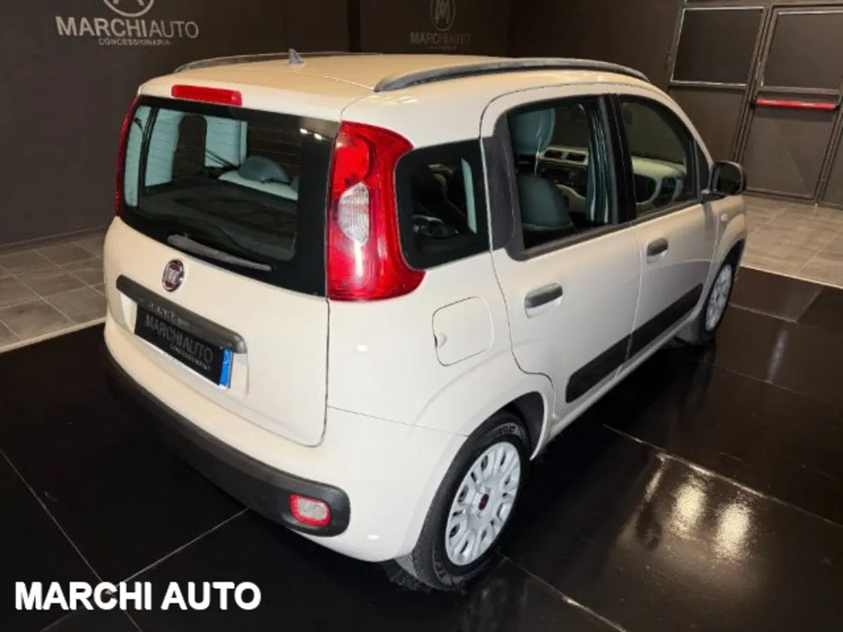 Fiat Panda usata a Perugia (5)