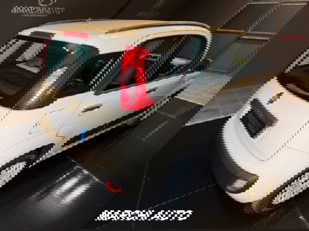 Fiat Panda usata a Perugia (5)