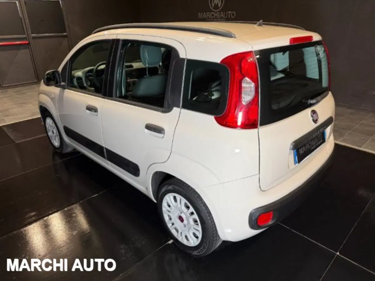 Fiat Panda usata a Perugia (7)