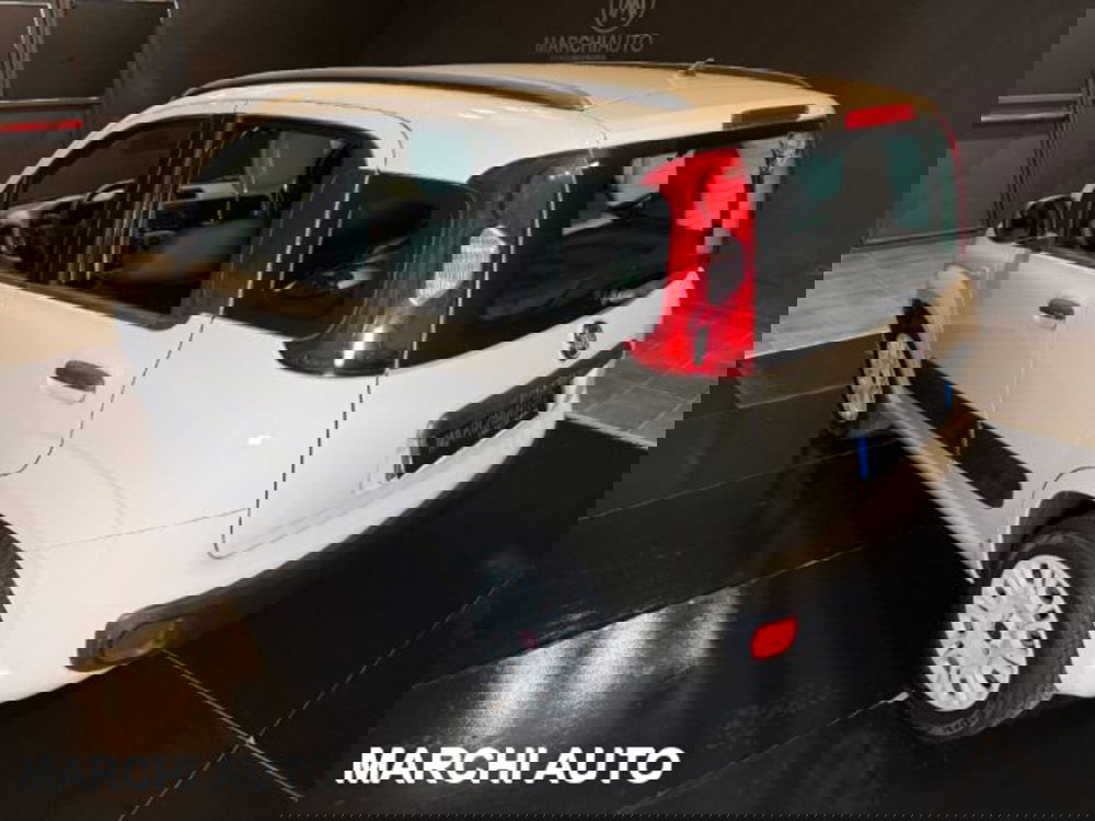 Fiat Panda usata a Perugia (7)