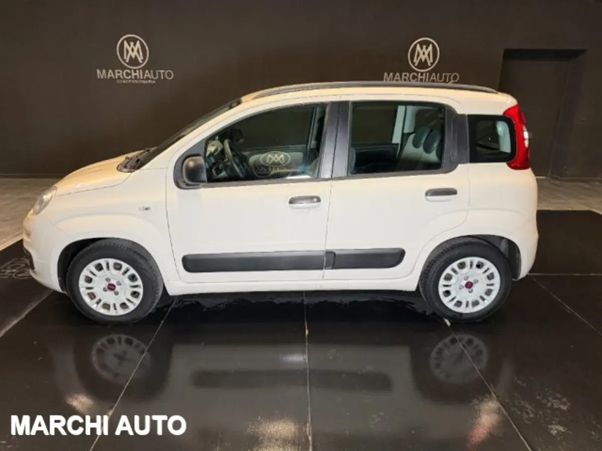 Fiat Panda usata a Perugia (8)