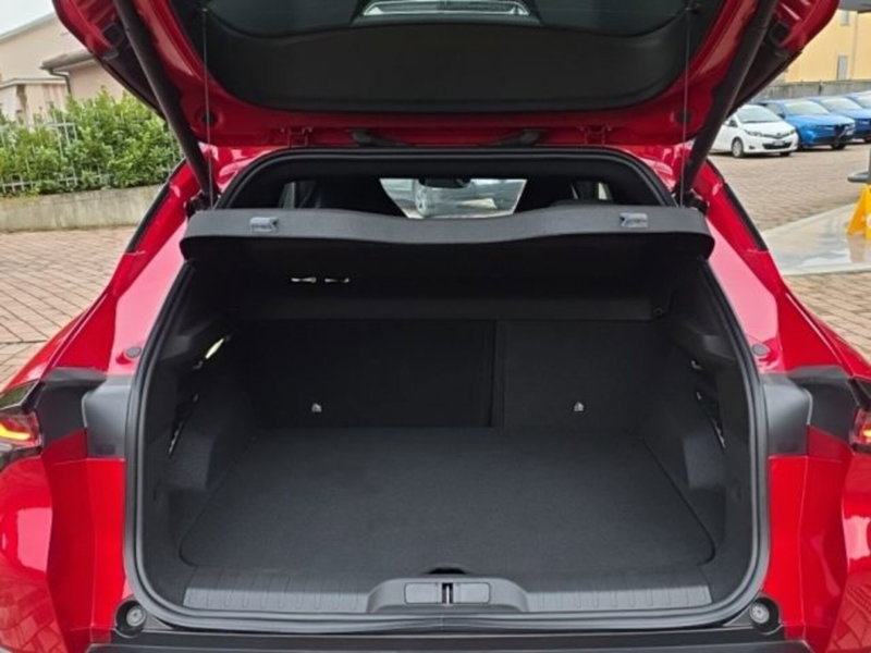 Alfa Romeo Junior usata a Monza e Brianza (6)