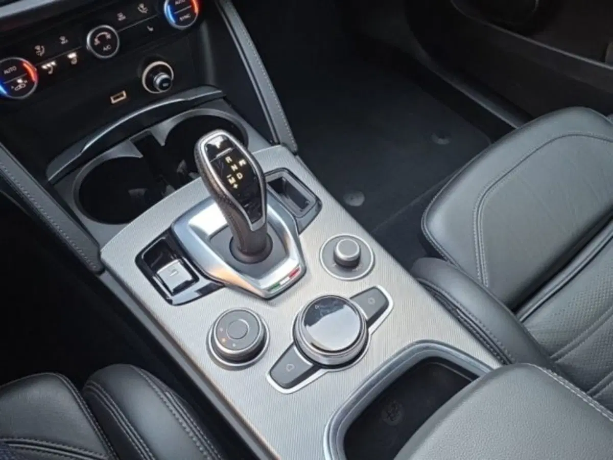Alfa Romeo Stelvio usata a Monza e Brianza (18)