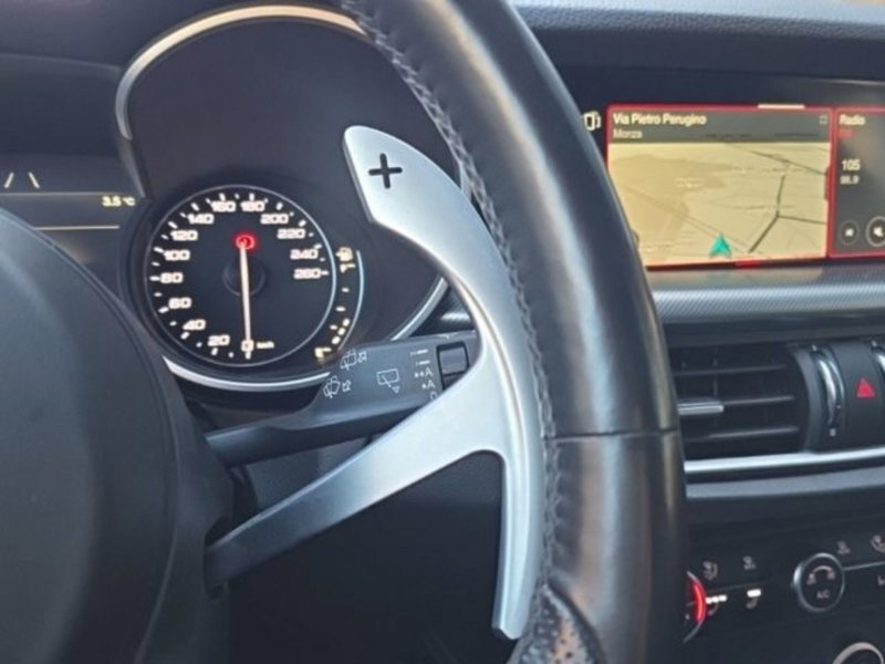Alfa Romeo Stelvio usata a Monza e Brianza (19)