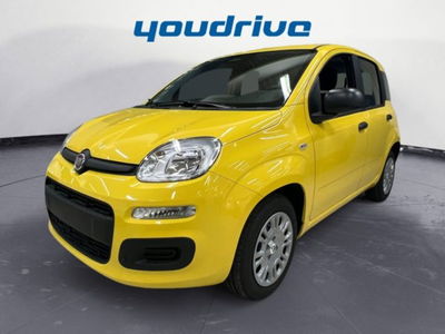 Fiat Panda 1.0 firefly hybrid s&amp;s 70cv 5p.ti nuova a Nola