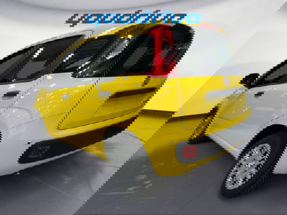 Fiat Panda nuova a Napoli (3)