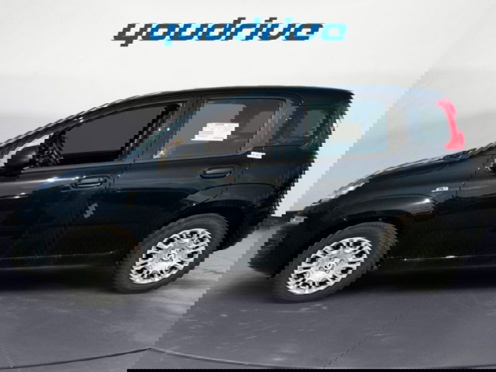 Fiat Panda nuova a Napoli (2)