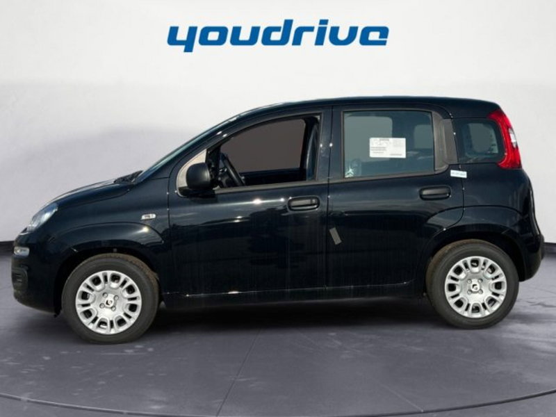 Fiat Panda nuova a Napoli (2)