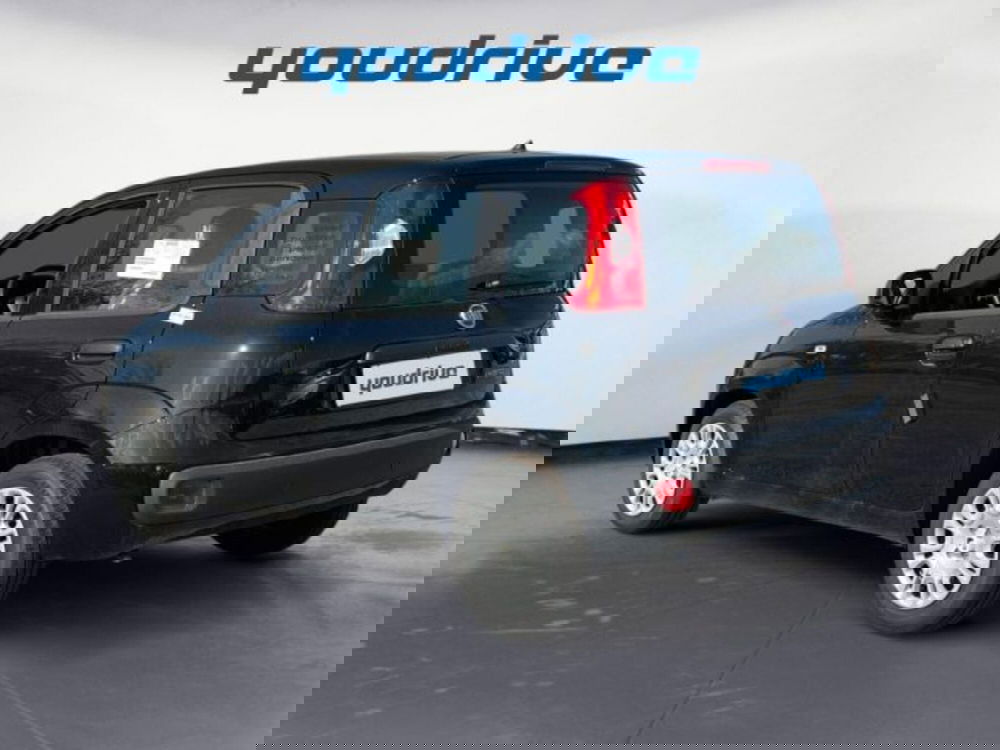 Fiat Panda nuova a Napoli (3)