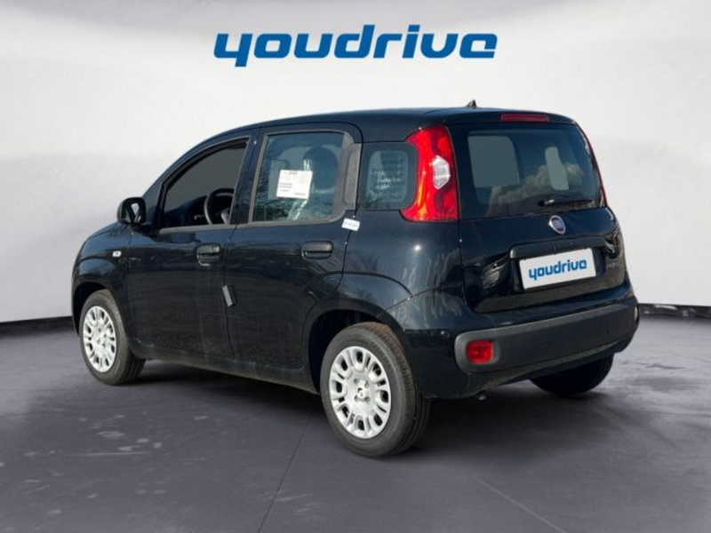 Fiat Panda nuova a Napoli (3)