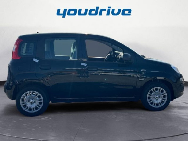 Fiat Panda nuova a Napoli (6)