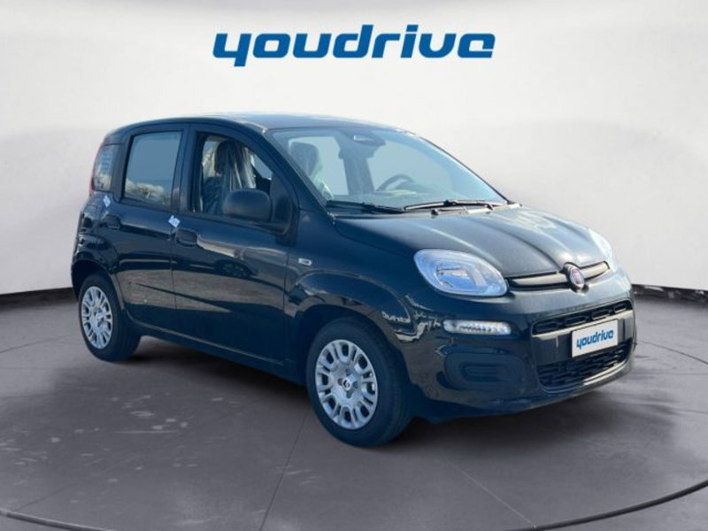 Fiat Panda nuova a Napoli (7)