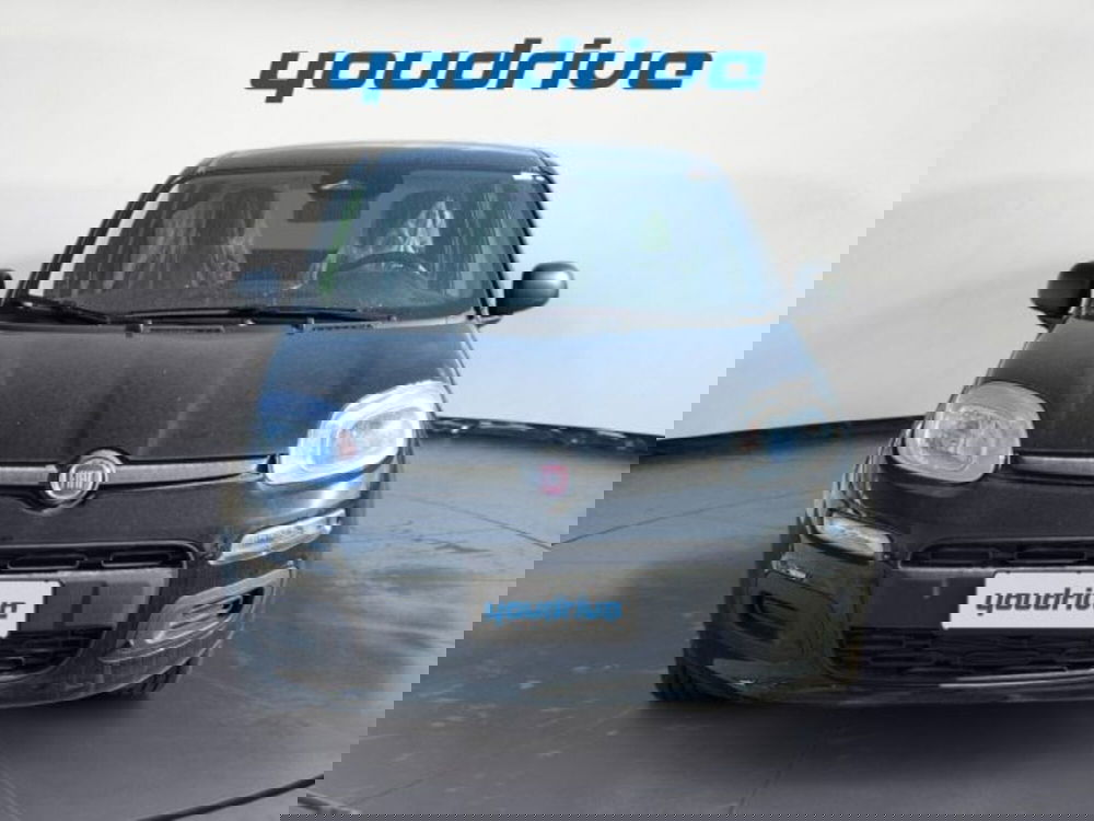 Fiat Panda nuova a Napoli (8)