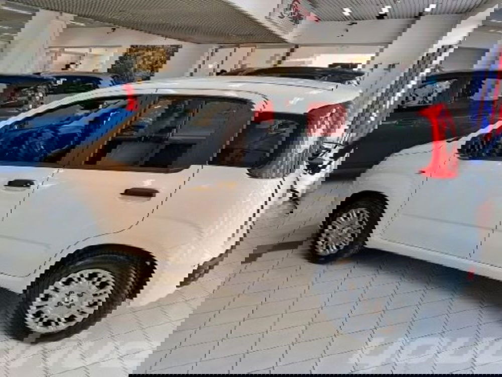 Fiat Panda nuova a Napoli (3)