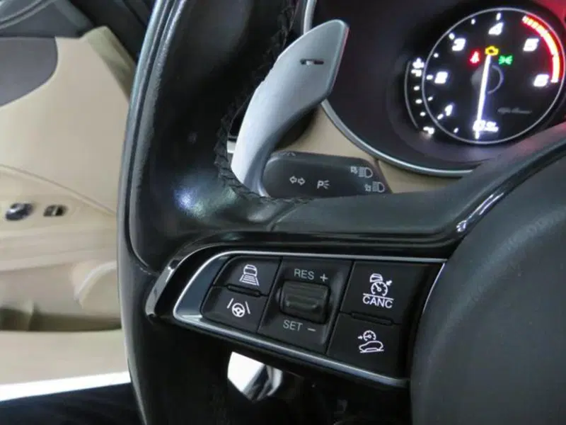 Alfa Romeo Stelvio usata a Lodi (14)