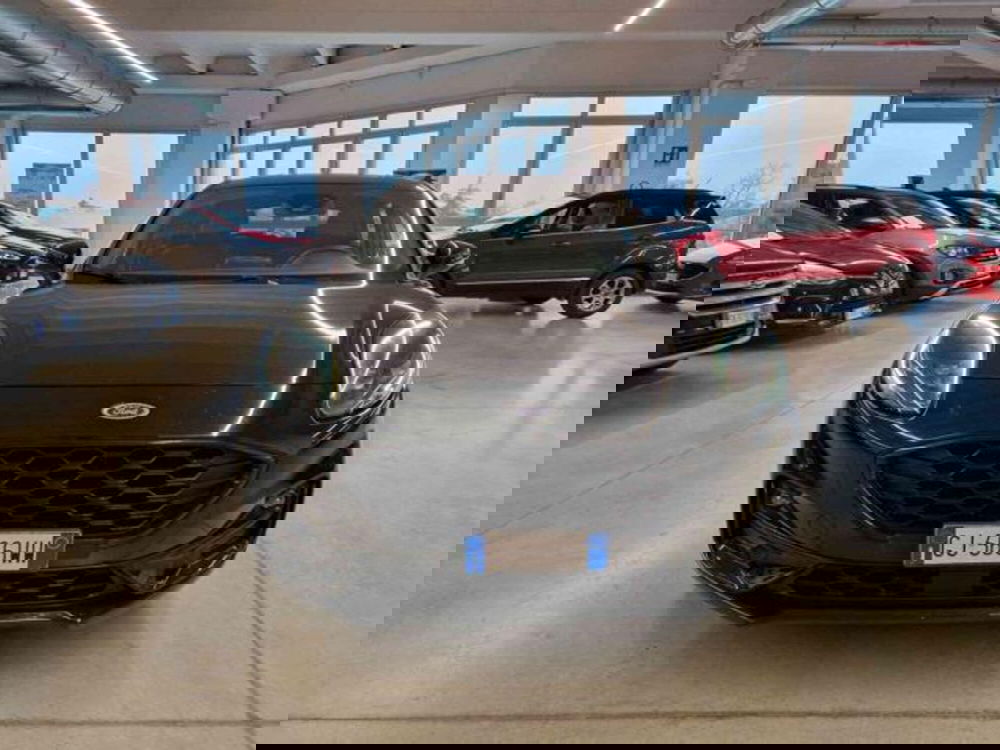 Ford Puma usata a Bologna (2)