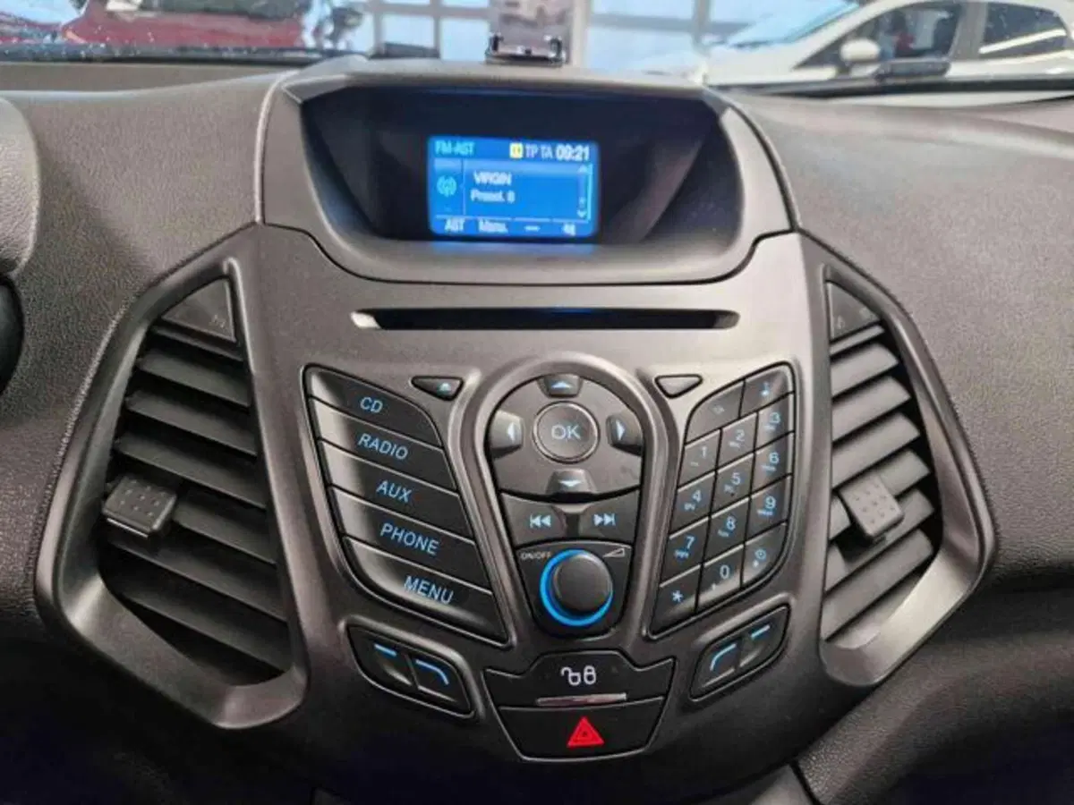 Ford EcoSport usata a Bologna (10)
