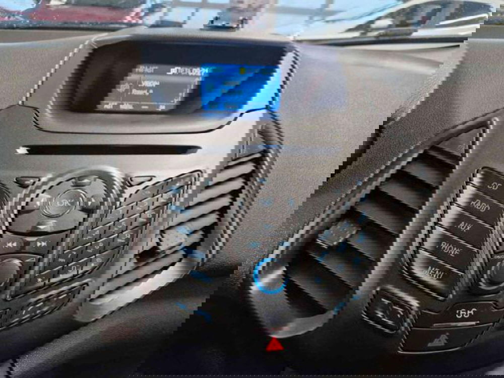 Ford EcoSport usata a Bologna (10)