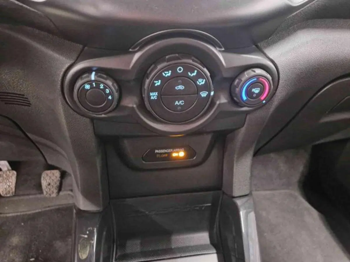 Ford EcoSport usata a Bologna (12)