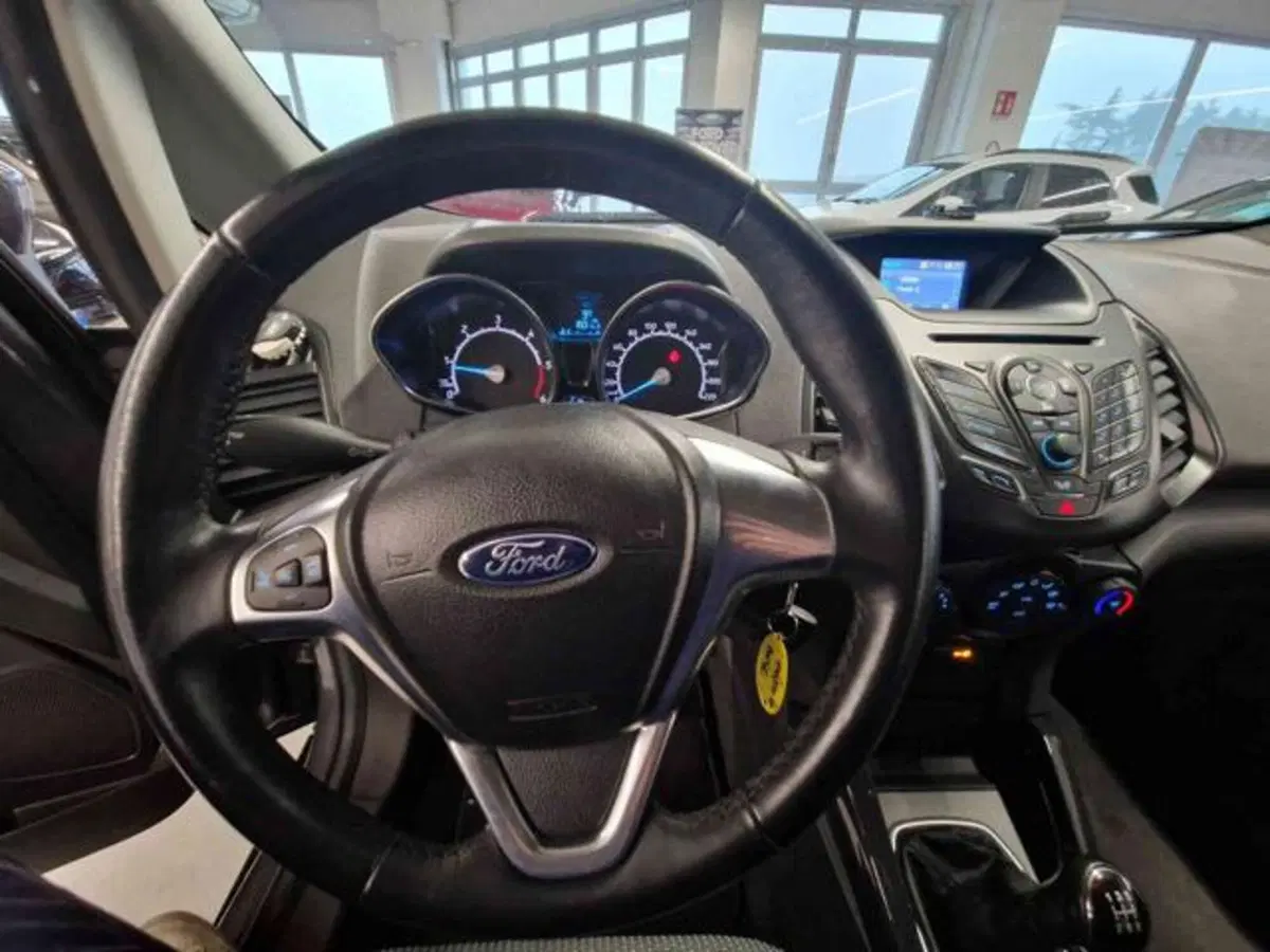 Ford EcoSport usata a Bologna (8)