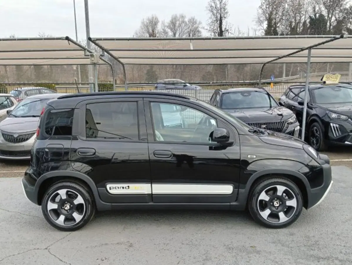 Fiat Panda Cross nuova a Brescia (4)