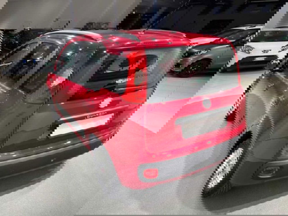 Fiat Panda usata a Sondrio (3)