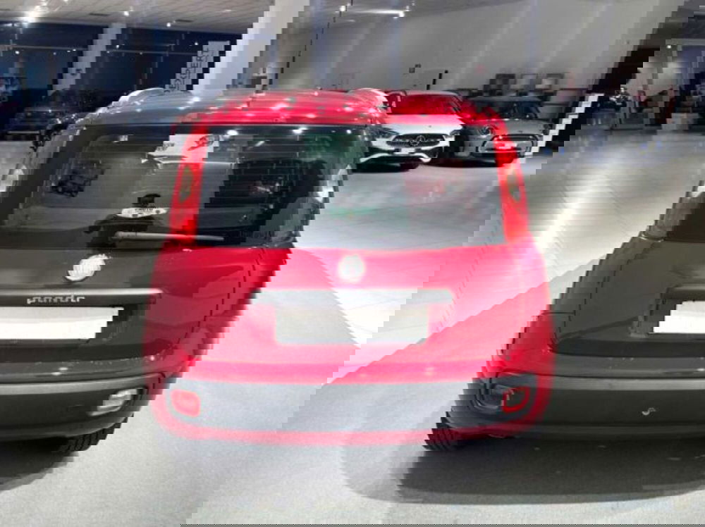 Fiat Panda usata a Sondrio (4)