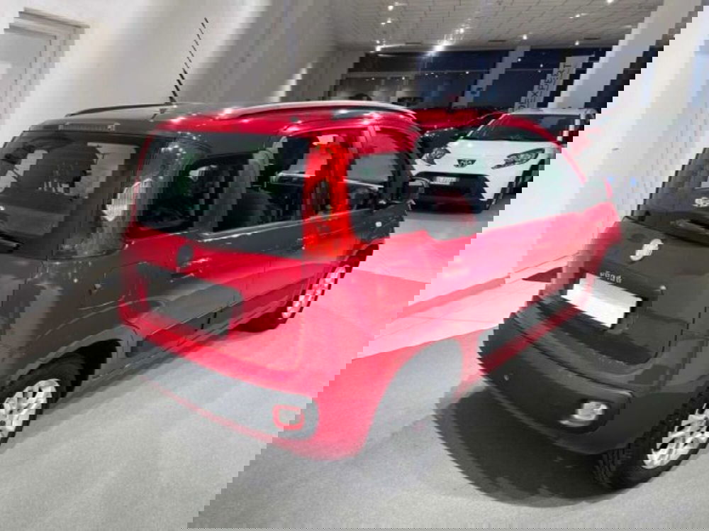 Fiat Panda usata a Sondrio (5)
