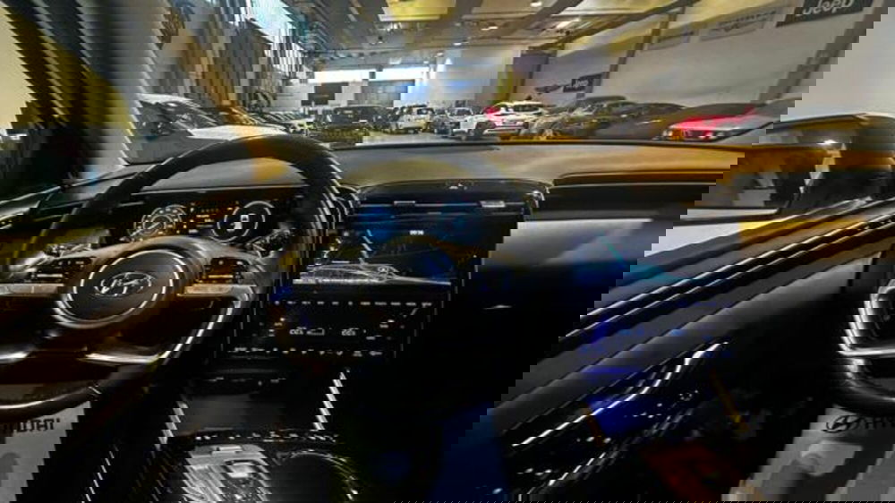 Hyundai Tucson usata a Reggio Emilia (16)