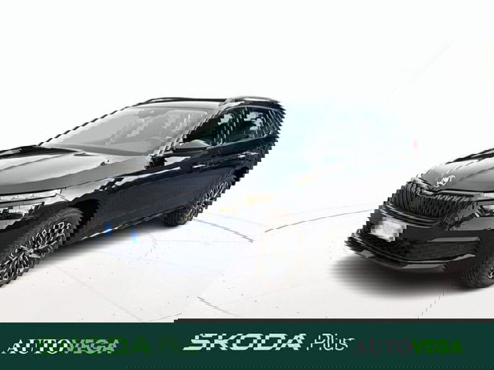 Skoda Kamiq usata a Vicenza