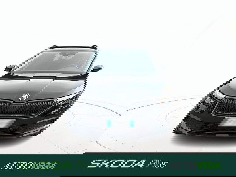 Skoda Kamiq usata a Vicenza (2)