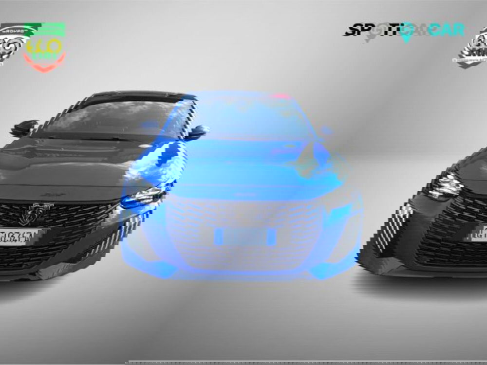 Peugeot 208 usata a Frosinone (2)