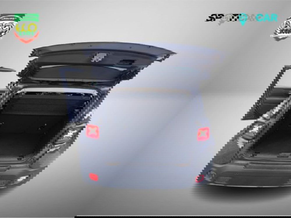 Jeep Renegade usata a Frosinone (9)