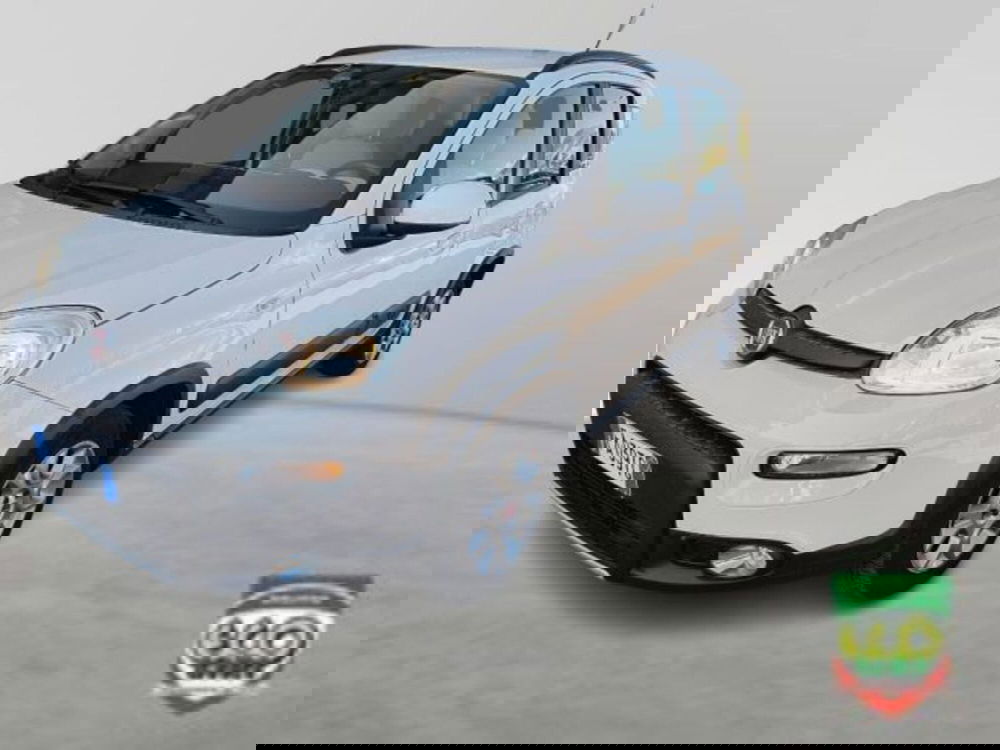 Fiat Panda Cross usata a Frosinone