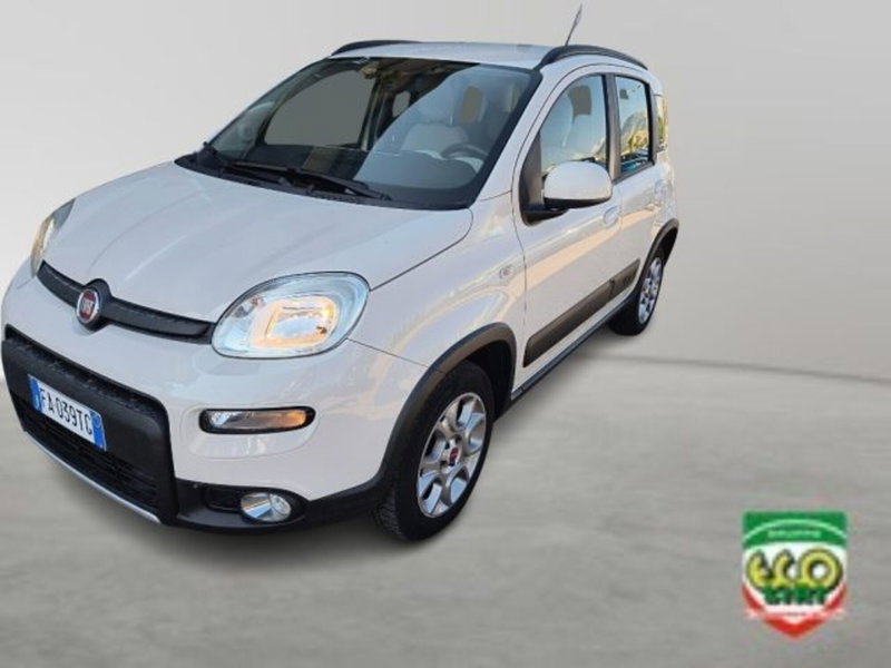 Fiat Panda Cross usata a Frosinone
