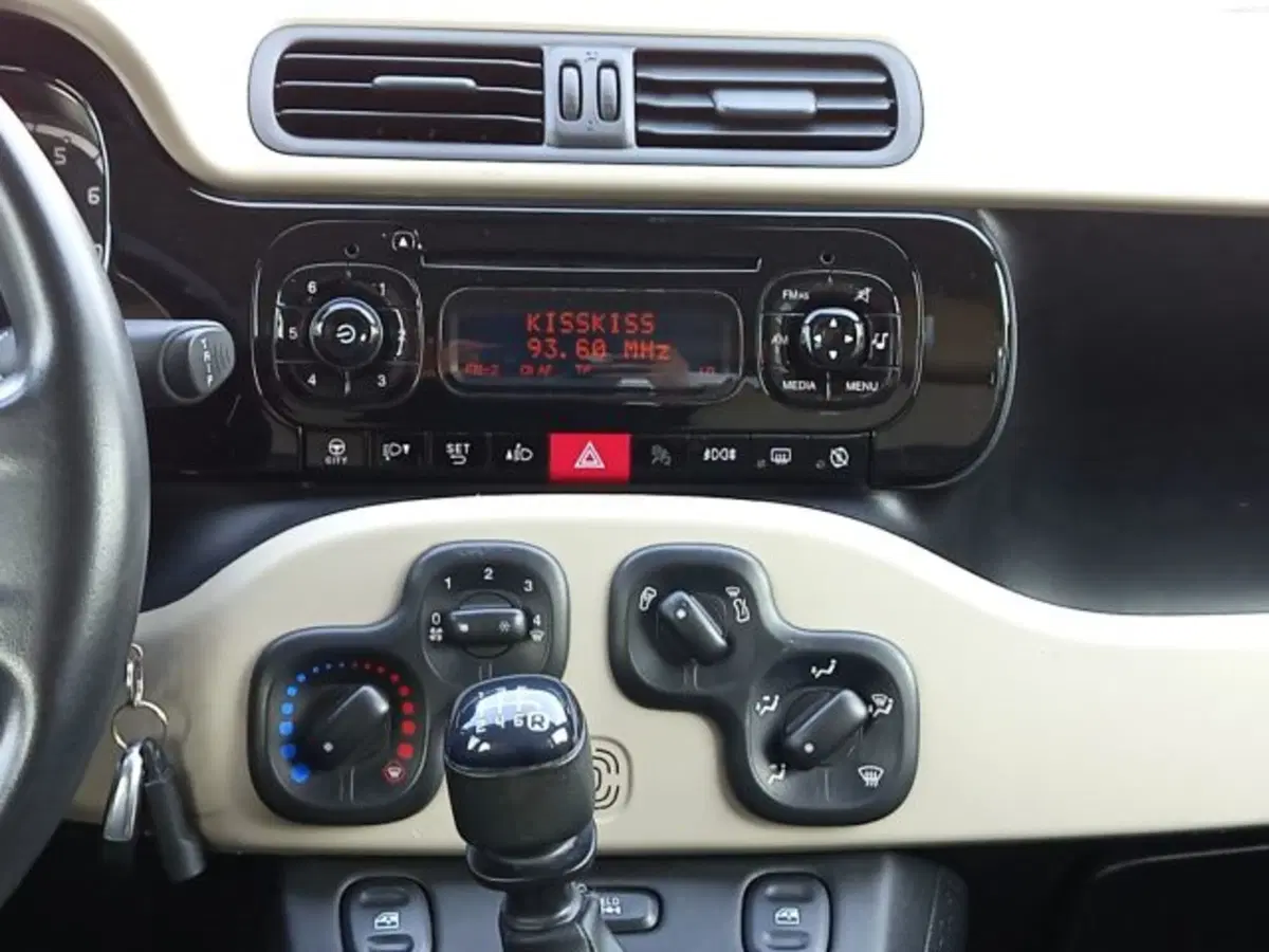 Fiat Panda Cross usata a Frosinone (13)