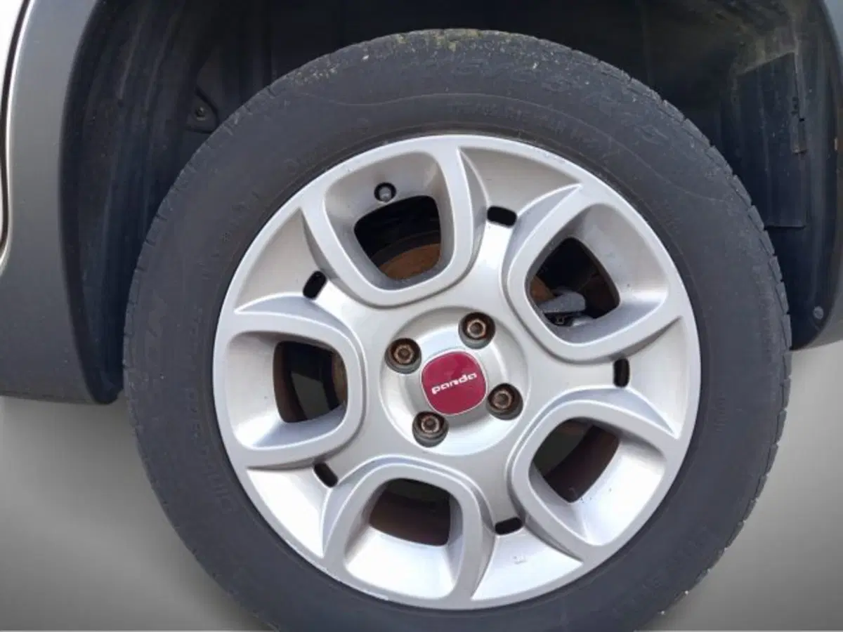 Fiat Panda Cross usata a Frosinone (14)