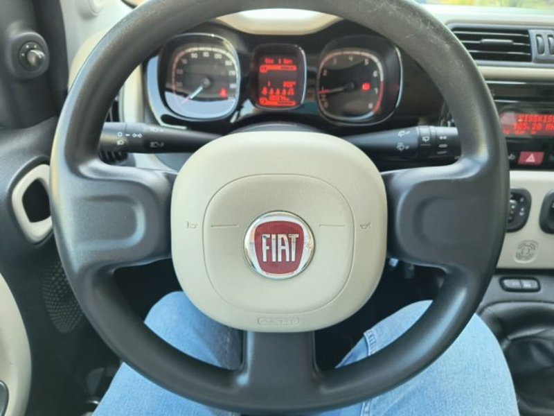 Fiat Panda Cross usata a Frosinone (11)