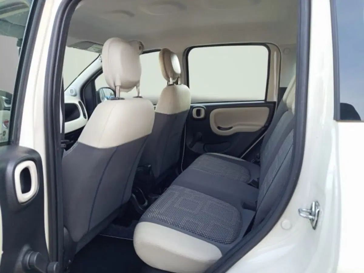Fiat Panda Cross usata a Frosinone (16)
