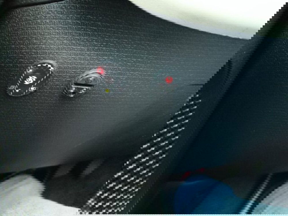 Fiat Panda Cross usata a Frosinone (16)