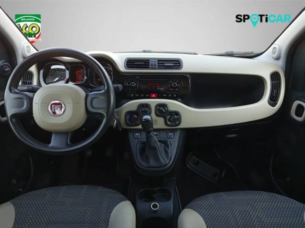 Fiat Panda Cross usata a Frosinone (17)