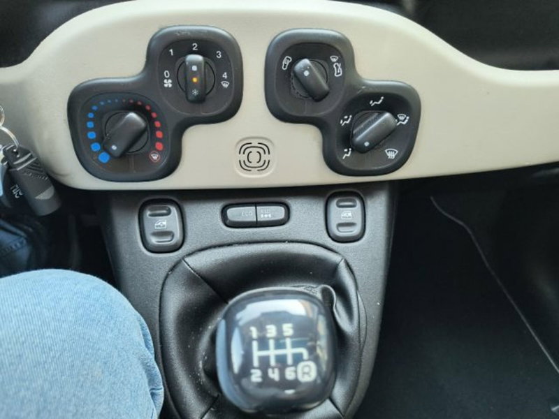 Fiat Panda Cross usata a Frosinone (14)