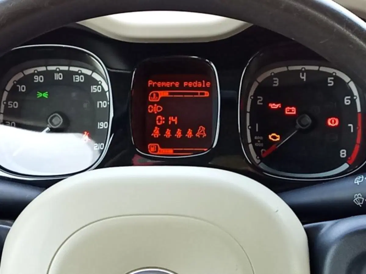 Fiat Panda Cross usata a Frosinone (19)