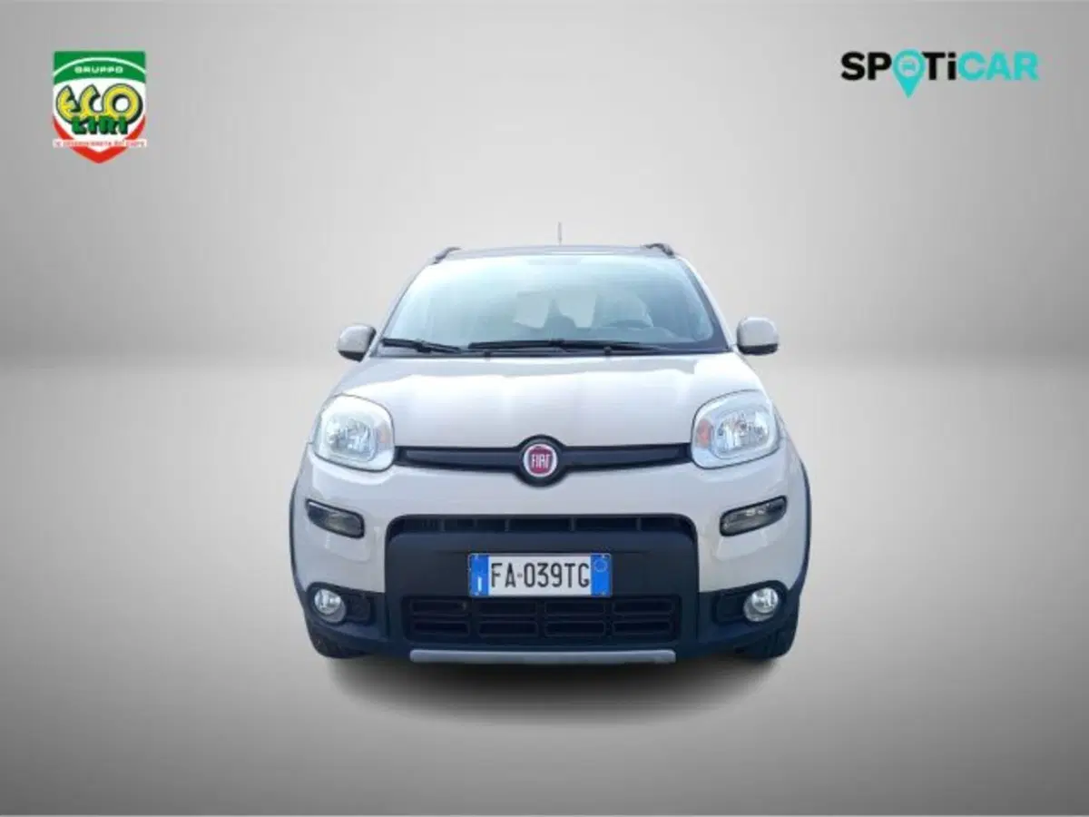 Fiat Panda Cross usata a Frosinone (2)