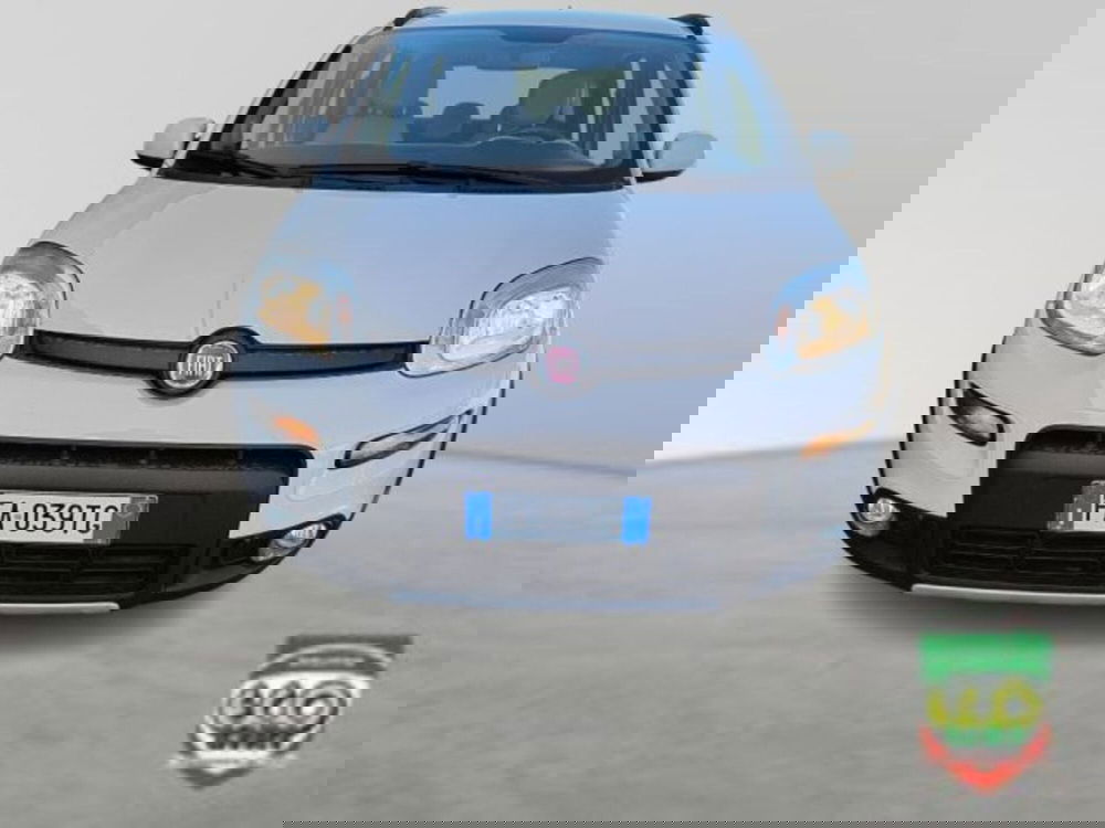 Fiat Panda Cross usata a Frosinone (2)