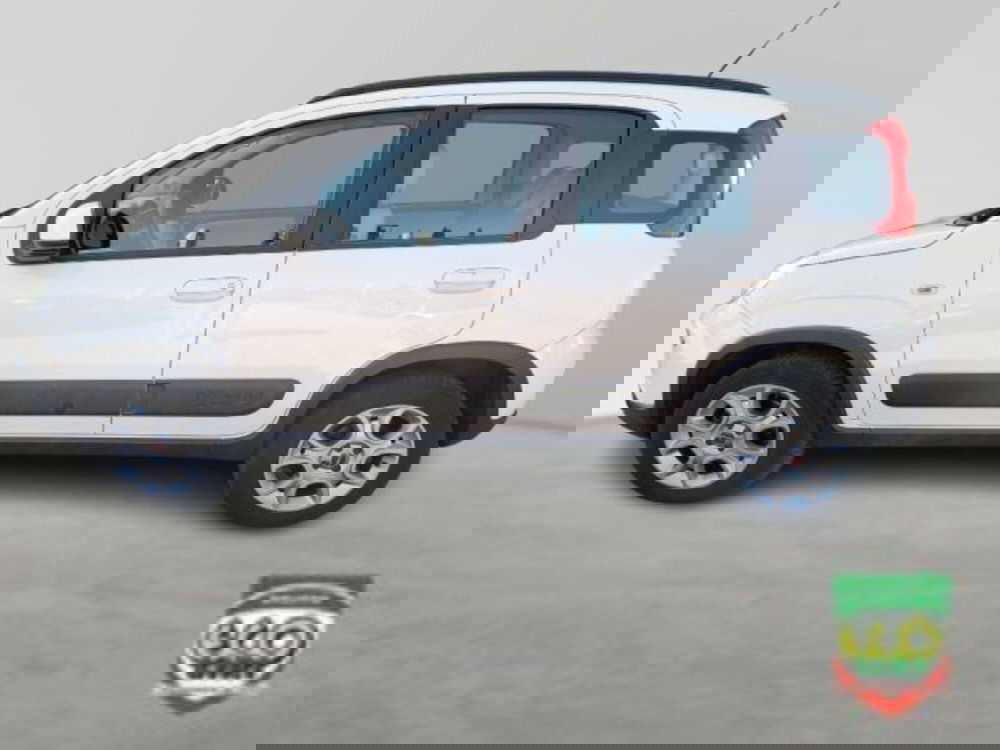 Fiat Panda Cross usata a Frosinone (3)