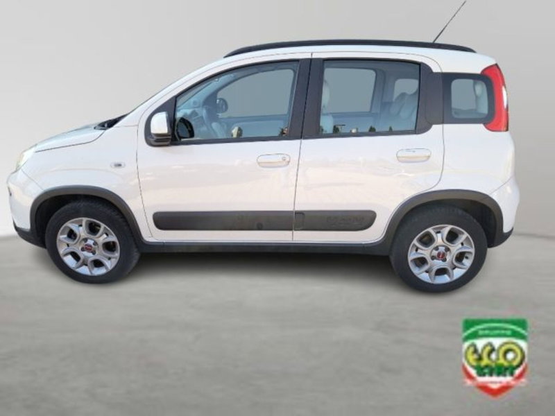 Fiat Panda Cross usata a Frosinone (3)