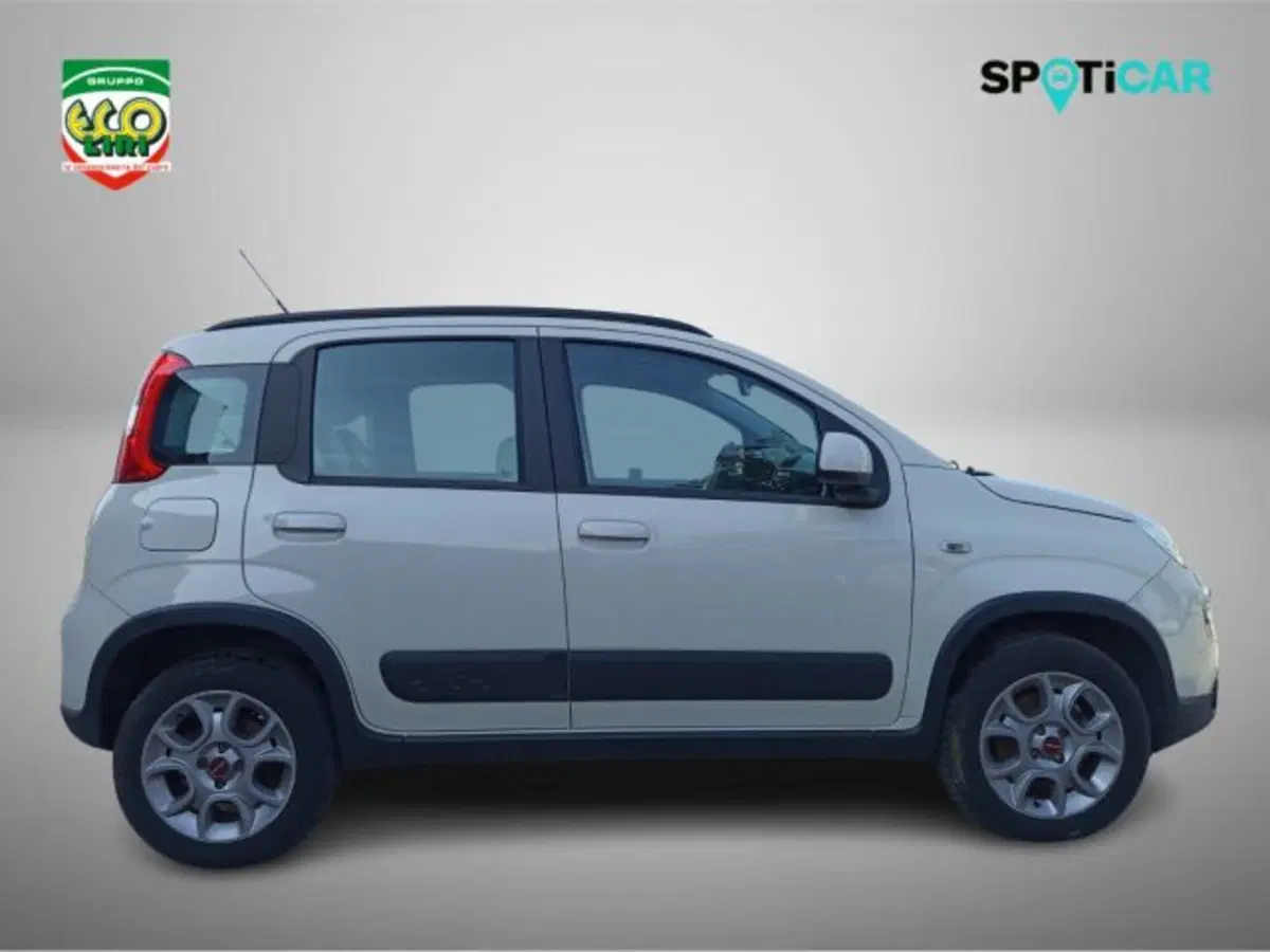 Fiat Panda Cross usata a Frosinone (4)